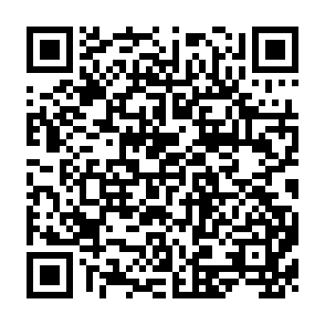 QR Code for The rise of the Meritocracy