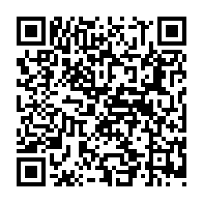 QR Code for Population and land in world agriculture