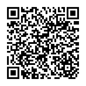 QR Code for The middle-sized farm in guatemala