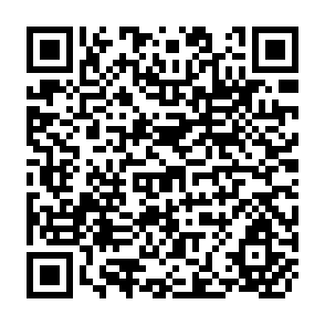 QR Code for Peasant rebellion in latin america