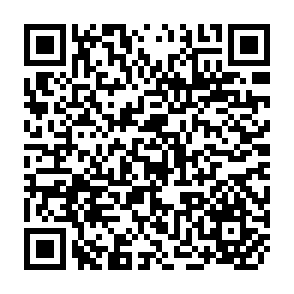 QR Code for Fanshen