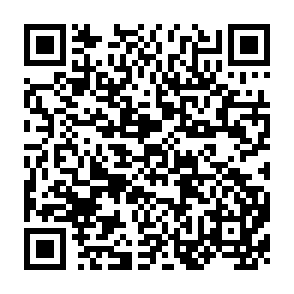 QR Code for Human fertility in India