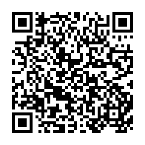 QR Code for China socialist revolution