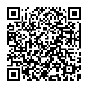 QR Code for The theory of the optimising peasant