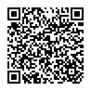 QR Code for Toward a theory of Latin American Politics