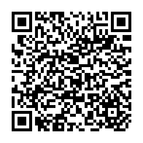 QR Code for Upper limits of peasantry and agrarian reform:Bolivia,Venezuela and mexico compared