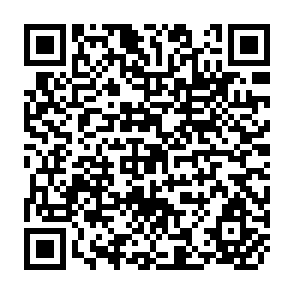 QR Code for The breakdown of provincial urban power structure and the rise of peasant movement