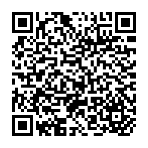 QR Code for Review of the situation of children and youth in the east asia and pakistan region