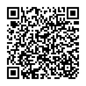 QR Code for The wretched of the earth