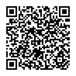 QR Code for The small farmers(1967-69)