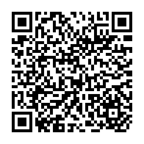 QR Code for Basic democracies at the grass roots