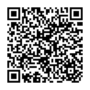 QR Code for The peasant in nineteenth century russia