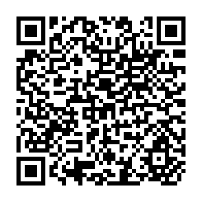 QR Code for Two rural sectors:Their characteristics and roles in the development process