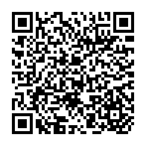 QR Code for Plato the republic