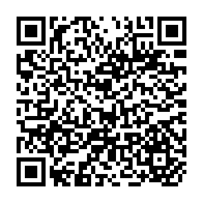 QR Code for The Politics of untouchability