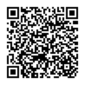 QR Code for Country monograph series No3 population of Thailand