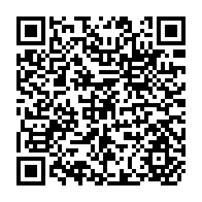 QR Code for China:The revolution continued