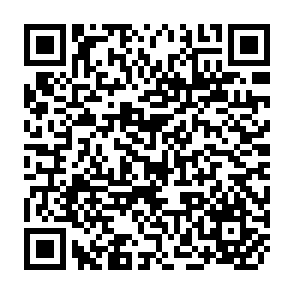 QR Code for World employment programme research