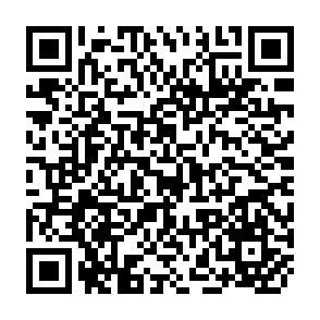 QR Code for World employment programme research