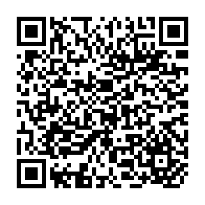 QR Code for Population policies in the countries of IPPF/Indian ocean region