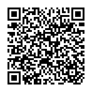 QR Code for International directory of population information and library resources
