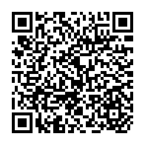 QR Code for National censuses and the United nations