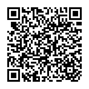 QR Code for The political economy of peasant family farming
