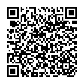 QR Code for IUSSP Papers