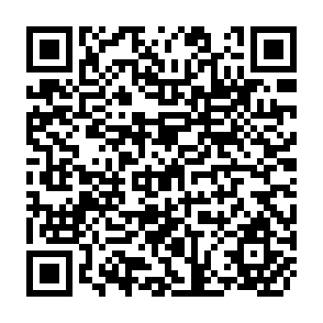 QR Code for Peasant participation in latin america and its obstacles