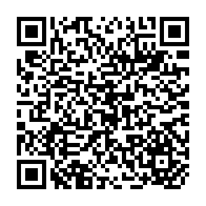 QR Code for Small farmers and the landless in south asia