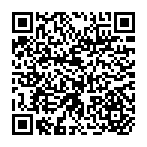 QR Code for Race and ethnic relations