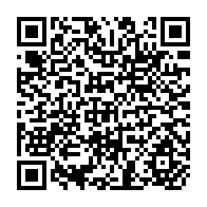 QR Code for The peasants charter