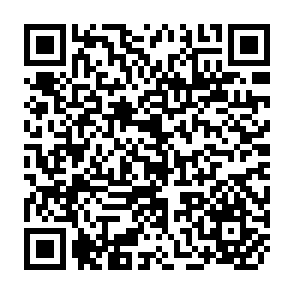 QR Code for Practical handbook of productivity and labour statistics