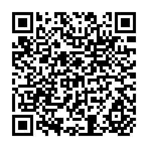 QR Code for The political economy of the yogoslav revolution