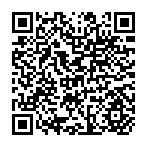 QR Code for Report of the Expert Consultation on Farming Systems Development