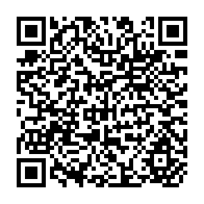 QR Code for The Food Problem of Developing Countries