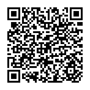 QR Code for Proceedings of the First Meeting of the Asian Employment Planners