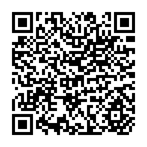 QR Code for Agricultural Market Intervention and International Trade