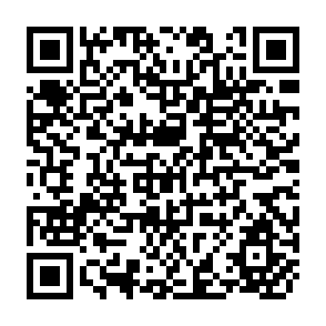 QR Code for Biological Technology and Agricultural Policy: An Assessment of Azolla in Philippine Rice Production