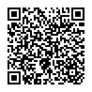QR Code for The essence of buddhism