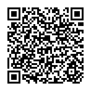 QR Code for An Appraisal of "Income" Elasticities For Total Food Consumption in Developing Countries
