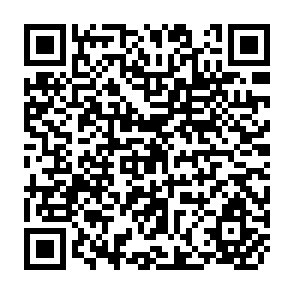 QR Code for An Appraisal of "Income" Elasticities For Total Food Consumption in Developing Countries