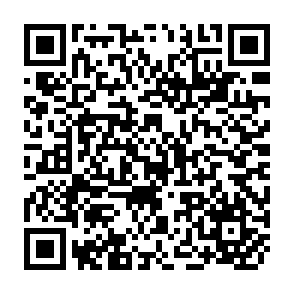 QR Code for South Pacific: a bibliography