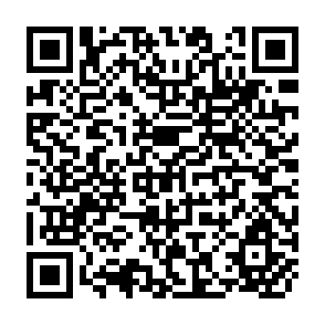 QR Code for Wages, Employment and Income Distribution in South Korea: 1960-83