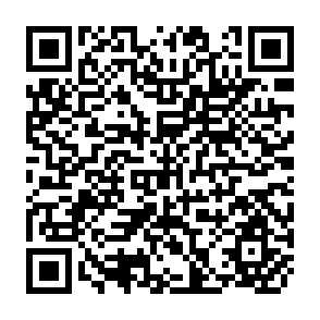QR Code for Processed tropical fruit: Trends and outlook for production and trade of canned pineapple and processed tropical exotic fruit