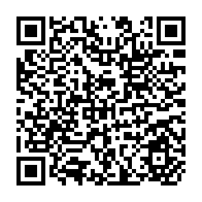 QR Code for The Working Group as a Mechanism For Managing Bureaucratic Reorientation: Experience from the Philippines