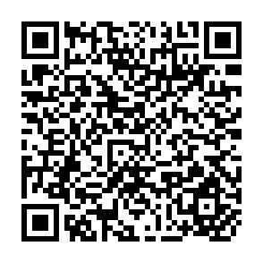 QR Code for Corn: Culture,Processing,Products