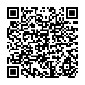 QR Code for A Model of Peasant Household in Bangladesh