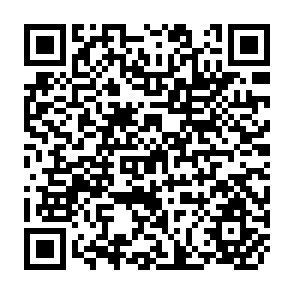 QR Code for Report on The TCDC Workshop on Strengthening Institutional Credit Services To Low - Income Groups