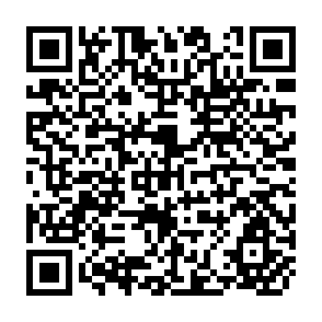 QR Code for Wages,Employment and Income Distribution in a Small,Open Economu :The Case of Singapore